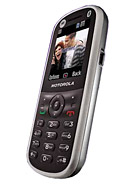 Best available price of Motorola WX288 in Uruguay